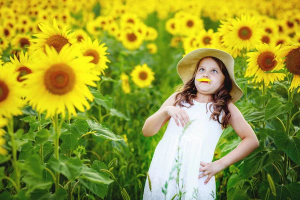 Menina Bonito Criança Brincando Campo Girassóis Com Girassóis — Fotografia de Stock