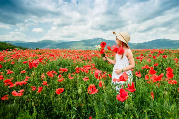 Menina Bonito Campo Papoula — Fotografia de Stock