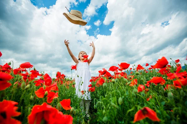 Menina Bonito Campo Papoula — Fotografia de Stock