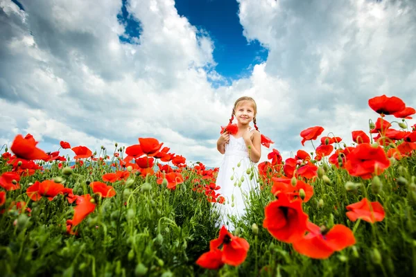 Cute Child Girl Poppy Field — Stock Photo, Image