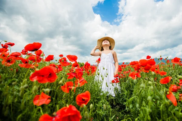 Menina Bonito Campo Papoula — Fotografia de Stock