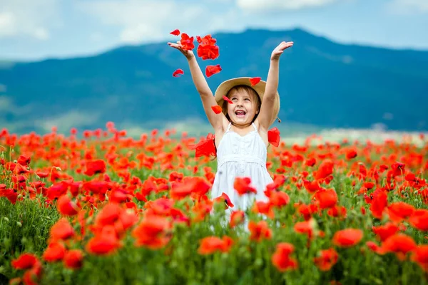 Menina Bonito Campo Papoula — Fotografia de Stock