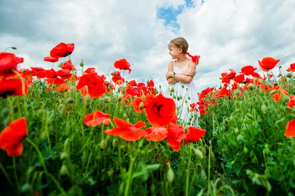 Cute Child Girl Poppy Field Stock Picture