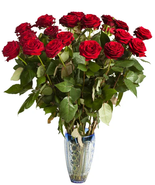 Many red roses on black background — Stock Photo, Image