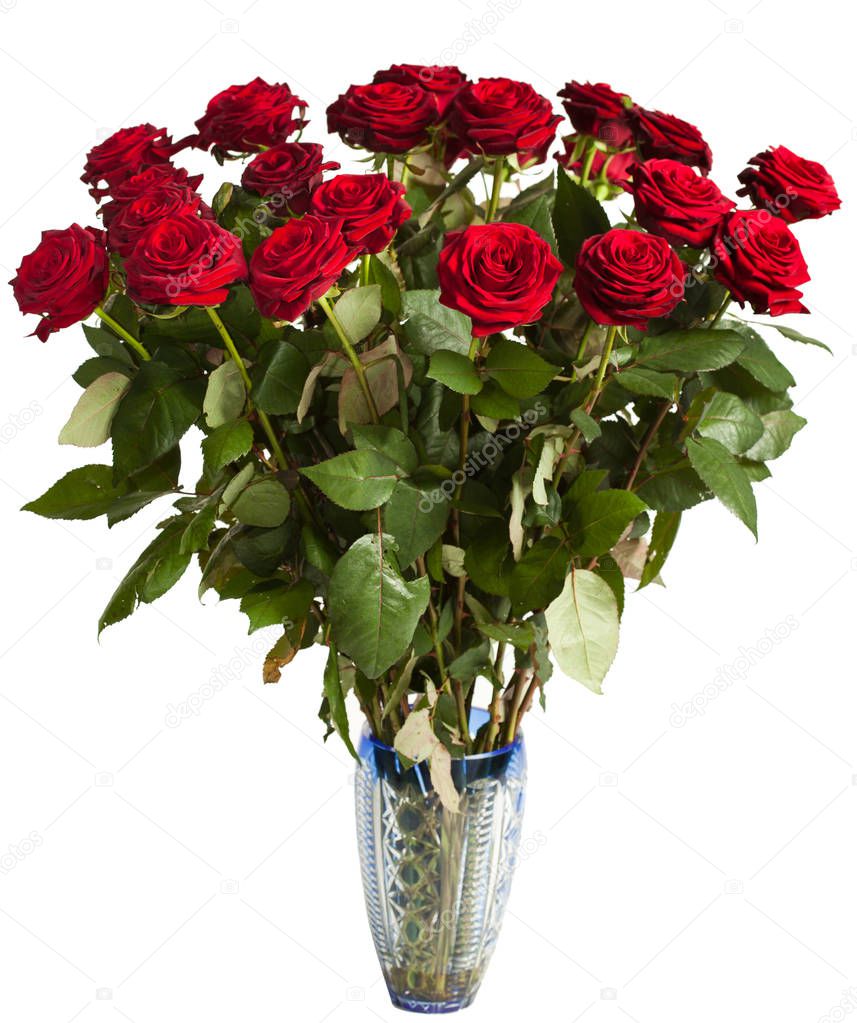 many red roses on black background