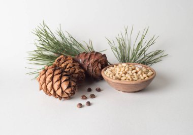 Sedir kozalakları şubesi ile