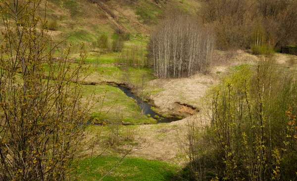 Paisagem de primavera com um fluxo — Fotografia de Stock