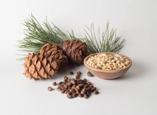 Sedir kozalakları şubesi ile