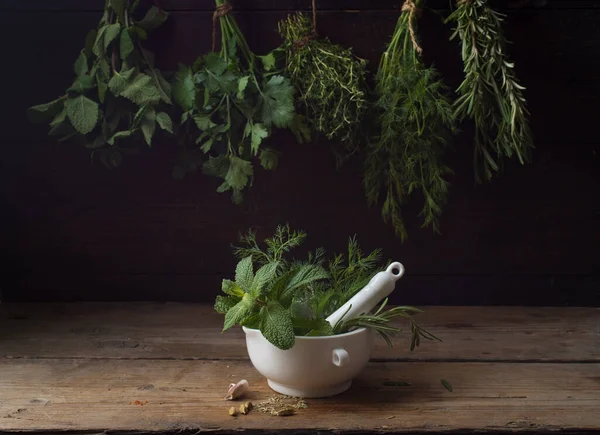 Timo, curcuma, cardamomo, basilico, menta, prezzemolo, di — Foto Stock