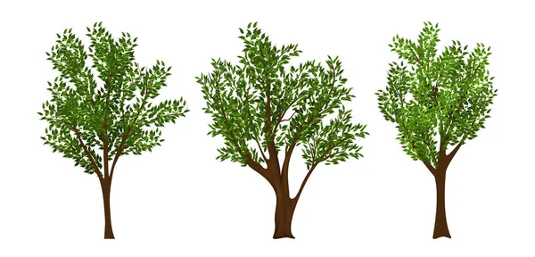 Векторний набір дерев — стоковий вектор