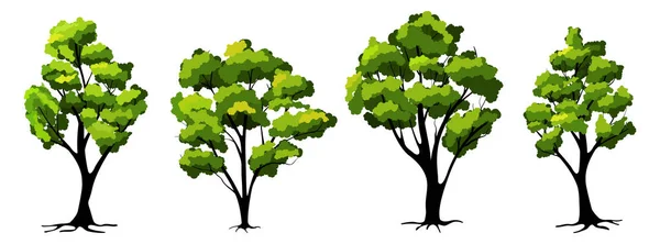 Vector trees set — Stock Vector