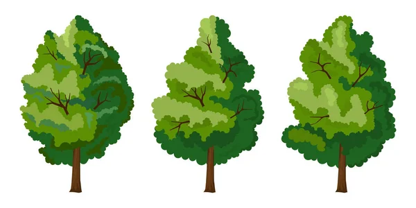 Ensemble de trois arbres d'été — Image vectorielle