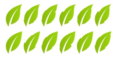 Yeşil yaprak küme. Eko