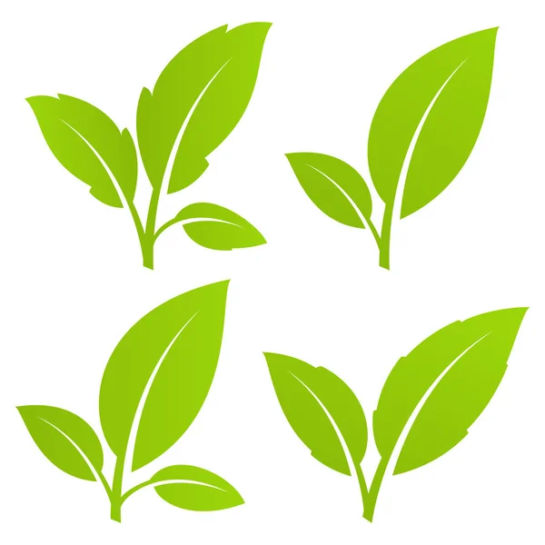 緑の葉のセット — ストックベクタ