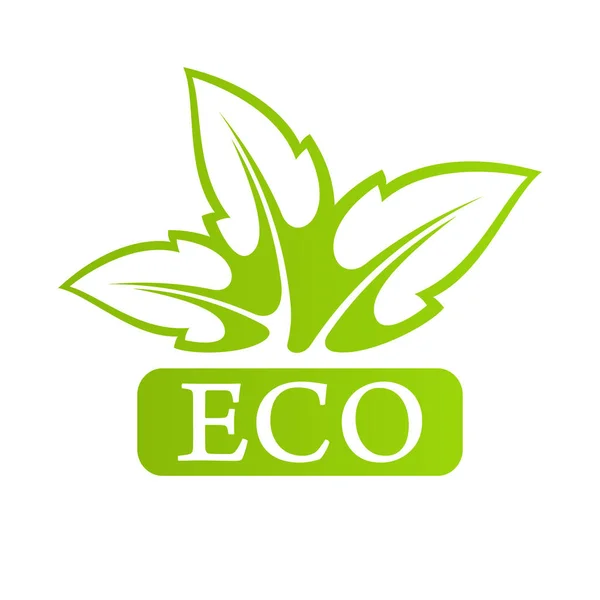 Eco logo z zielonych liści — Wektor stockowy