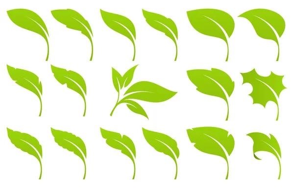 Yaprak yeşil ayarla — Stok Vektör