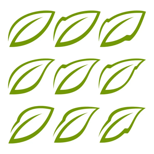 Set di foglie verdi — Vettoriale Stock