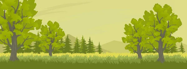 Letní krajina se stromy — Stockový vektor