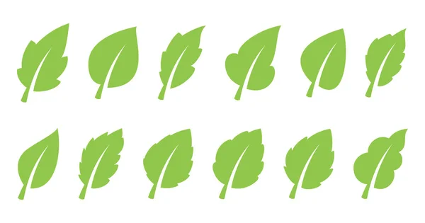 Conjunto de folhas verdes — Vetor de Stock