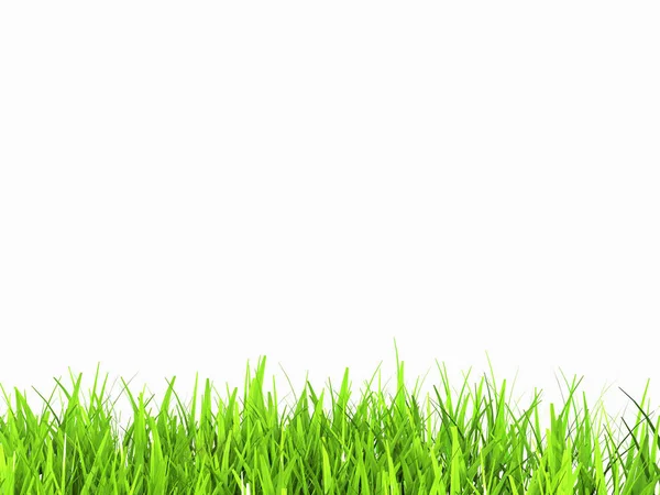 Green grass isolated — Stock Photo, Image