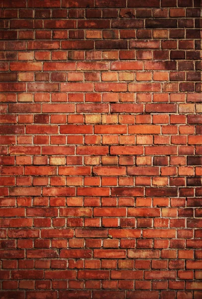 Old brick wall background — Stock Photo, Image