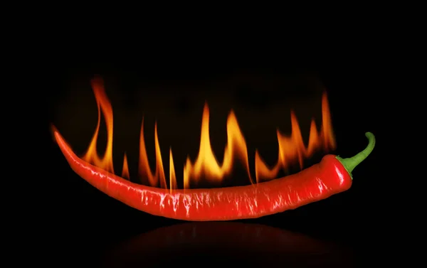 Burning pepper on black — Stock Photo, Image