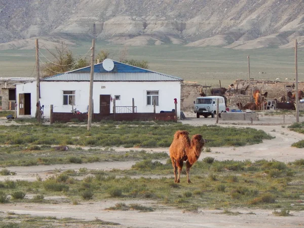 Steppe afwikkeling. Kazachstan. — Stockfoto