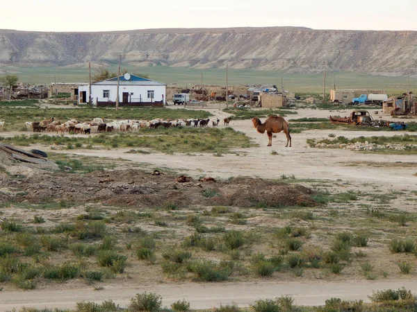 Οικισμός της στέπας. Καζαχστάν. — Φωτογραφία Αρχείου