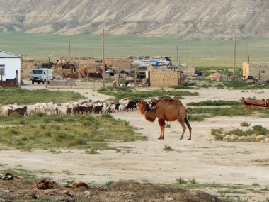 Bozkır yerleşim. Kazakistan.