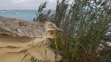 Hazar Denizi kıyısında. Kaya izleri. Kazakistan. Aktau şehri. 07 Ekim 2019.