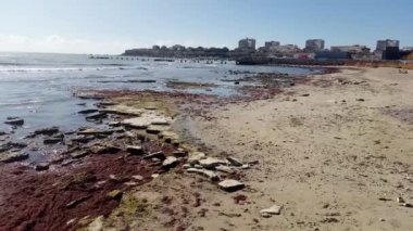Hazar Denizi 'nin Rocky kıyısında. Deniz seviyesi düşüyor. Su kıyıdan uzaklaşır. Kazakistan. Aktau şehri. 13 Ekim 2019.