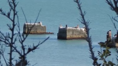 Eski beton iskeleler. Kazakistan Aktau şehri. 08 Ekim 2019.