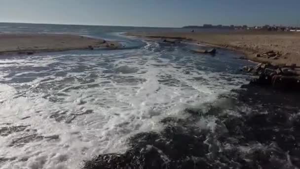 Denize Atık Boşaltımı Kazakistan Aktau Şehri Ekim 2019 — Stok video