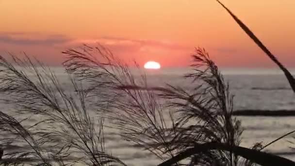 Puesta Sol Sobre Mar Caspio Septiembre 2019 Año Región Mangistau — Vídeo de stock