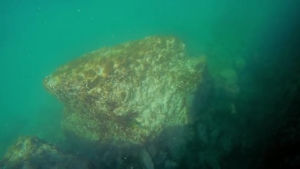 里海的水下悬崖 9月的月份 — 图库视频影像