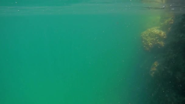 Unterwasserklippe Kaspischen Meer Monat September — Stockvideo