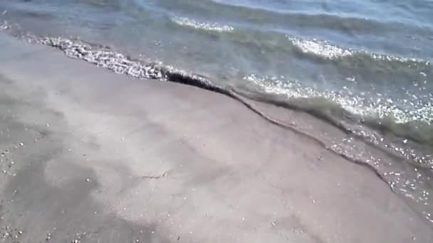 Côte Sablonneuse Mer Caspienne Automne Octobre Est Mois — Video