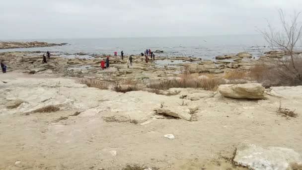 Gente Orilla Del Mar Caspio Alimenta Las Aves Kazajstán Ciudad — Vídeo de stock