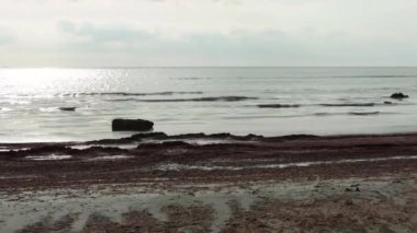 Pink algae in the Caspian Sea. Kazakhstan. Mangistau region. 26 January 2020 year.
