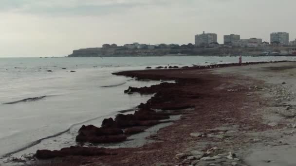 City Shore Caspian Sea Kazakhstan Aktau Mangistau Region January 2020 — Stockvideo