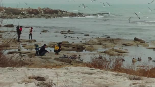 Gente Orilla Del Mar Caspio Alimenta Las Aves Ciudad Aktau — Vídeos de Stock