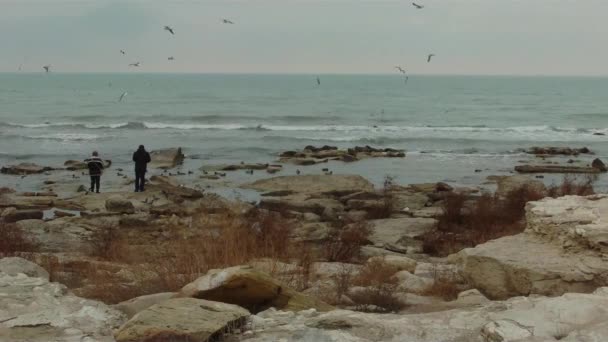 Gente Orilla Del Mar Caspio Alimenta Las Aves Ciudad Aktau — Vídeos de Stock