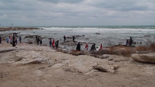 Gente Orilla Del Mar Caspio Alimenta Las Aves Kazajstán Ciudad — Vídeos de Stock