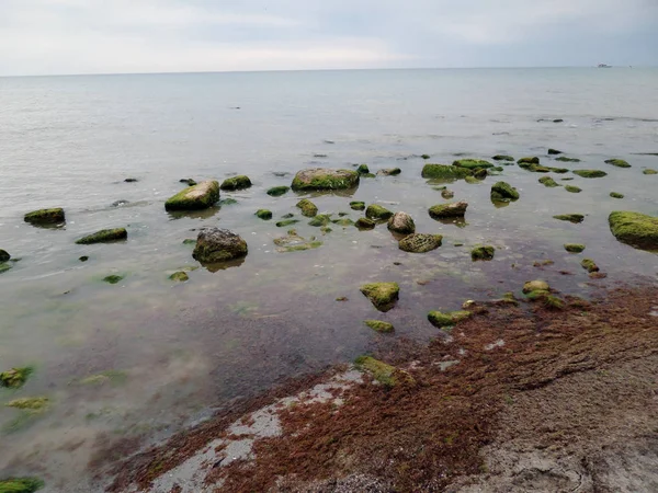 Mare Pietroso Sabbioso Mar Caspio Kazakistan Agosto 2019 Anno Regione — Foto Stock