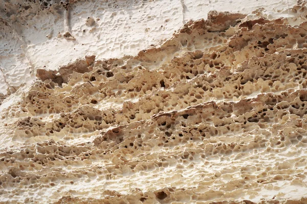 表面砂质岩石 里海的岩石海岸 — 图库照片