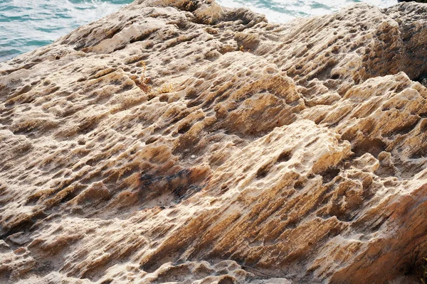 Surface Sandy Rock Rocky Shore Caspian Sea — Stock Photo, Image