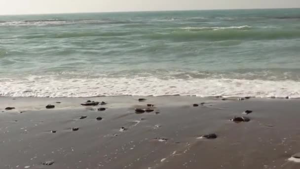 Costa Sabbiosa Del Mar Caspio Kazakistan Regione Mangistau Febbraio Anno — Video Stock