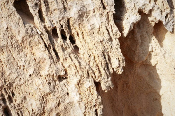 Oppervlaktezandsteen Rotsachtige Kust Van Kaspische Zee — Stockfoto