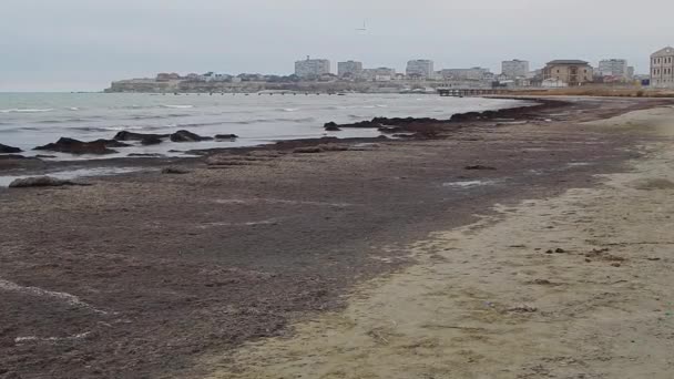 Stad Vid Kaspiska Havets Strand Kaspiska Havets Sandkust Kazakstan Mangistau — Stockvideo