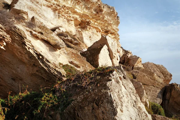 Rocas Orilla Del Mar Caspio Hierba Creciendo Las Rocas — Foto de Stock